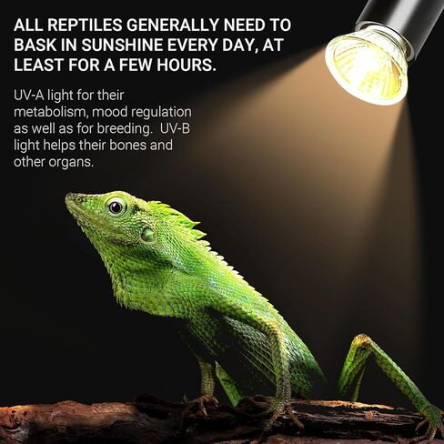 CALPALMY (4 عبوات من لمبات حرارة الزواحف UVA+UVB بقدرة 75 وات - الحرارة والضوء للزواحف والخزانات البرمائية، ومرابي حيوانات وأقفاص - تعمل مع سحلية السلحفاة، وتركيبات مصابيح حرارية تررم برمائية مختلفة in Kuwait