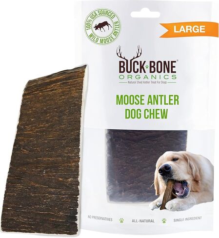 Buck Bone Organics Gluten Free, Long Lasting Moose Antler Bone Dog Chew Treats for Play & Everyday- Premium, Grade A, Naturally Sourced in The USA, Stain & Odor Free in Saudi Arabia