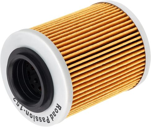 Road Passion AP0256187 420256188 420256188 High Performance Oil Filter for CAN-AM Outlander 400 HO 400 2007-2008 Outlander 650 EFI XT-P 650 2011 in Saudi Arabia