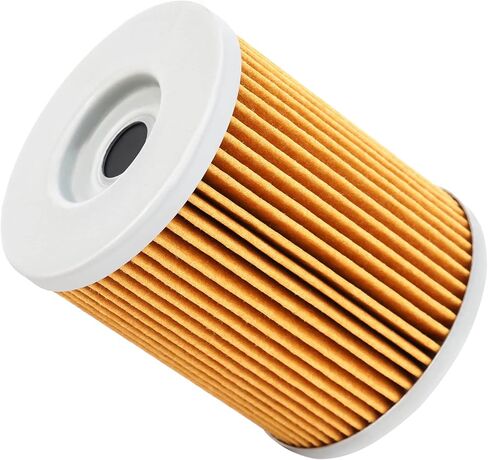 Road Passion AP0256187 420256188 420256188 High Performance Oil Filter for CAN-AM Outlander 400 HO 400 2007-2008 Outlander 650 EFI XT-P 650 2011 in Saudi Arabia