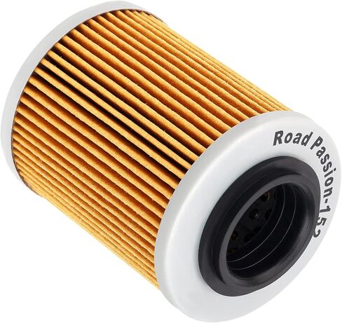 Road Passion AP0256187 420256188 420256188 High Performance Oil Filter for CAN-AM Outlander 400 HO 400 2007-2008 Outlander 650 EFI XT-P 650 2011 in Saudi Arabia
