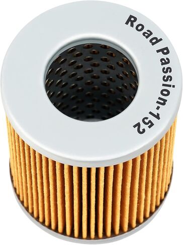 Road Passion AP0256187 420256188 420256188 High Performance Oil Filter for CAN-AM Outlander 400 HO 400 2007-2008 Outlander 650 EFI XT-P 650 2011 in Saudi Arabia