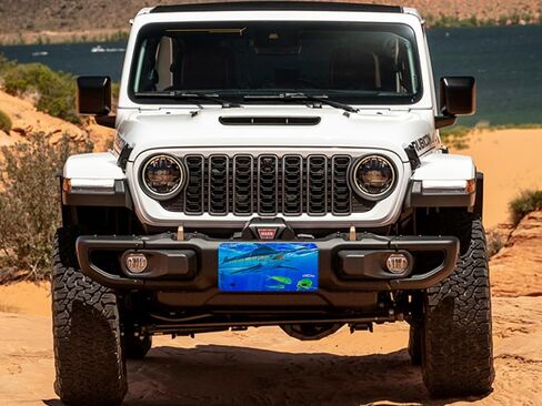 LPG Big Game Marlin Mahi and Tuna Fishing Aluminum License Plate (Bill Buster Marlin) in Kuwait