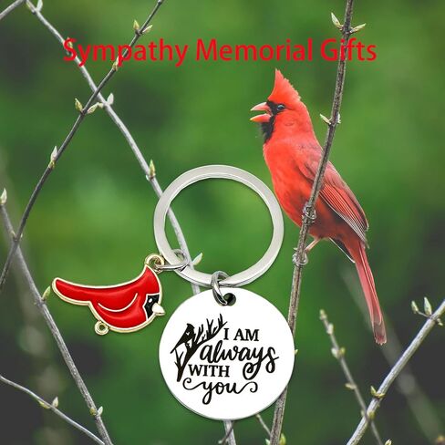 Cardinal Gifts for Women Men Memorial Remembrance for Loss of Mother Father Lover Friend Son Daughter Baby Grief Bereavement Sympathy Condolences Red Cardinal Gift Keychain for Him Her in Kuwait