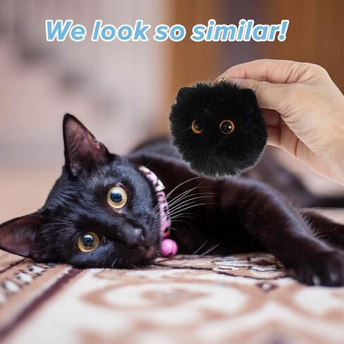 Black Cat Keychain 2pcs Cute Plush Backpack Charms Cat Plush Keychains Purse Charm White Pom Pom Cats Car Keychain Gifts for Women Couple Keychains Handbags Backpacks and Wallets Accessories in Kuwait