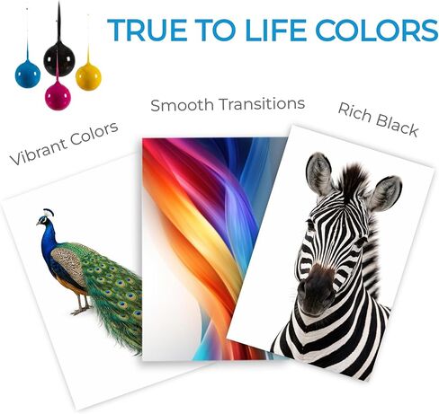 HP67/67XL Ink Cartridges Black/Color Combo Pack Compatible with HP Printer DeskJet 2700 2700e 4200 4200e 2742 2800e 2827 2852 2855e 4100 4100e 4155e 4227 4255e HP Envy 6455 6455e 6000, 6055 in Saudi Arabia