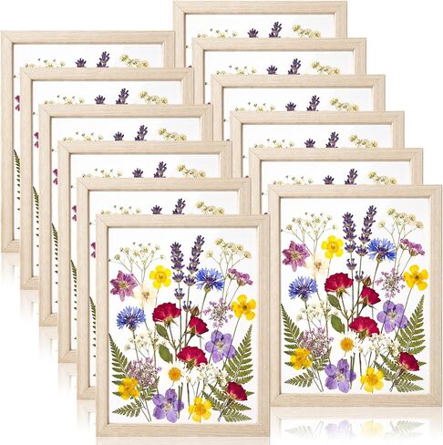 12 Pack Pressed Flower Frames 8x6, Double Clear Acrylic Floating Picture Frame for Botanical Specimen, Wooden Herbarium Display Frame for Wall or Tabletop, DIY Flower Preservation Decor in Kuwait