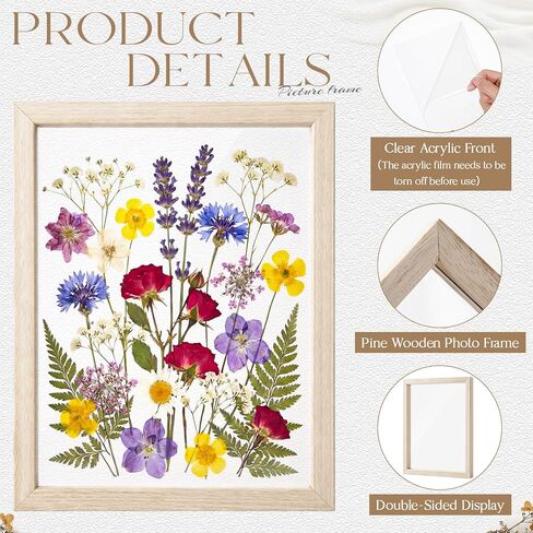 12 Pack Pressed Flower Frames 8x6, Double Clear Acrylic Floating Picture Frame for Botanical Specimen, Wooden Herbarium Display Frame for Wall or Tabletop, DIY Flower Preservation Decor in Kuwait