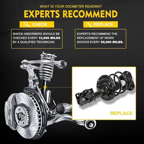 OREDY 272984 Pair Rear Struts for 2013 2014 2015 Honda Accord Left Right Side Complete Loaded Suspension Strut Shock Absorber with Coil Spring Assembly in Kuwait