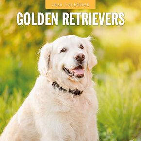 Red Robin 2026 Golden Retrievers Monthly Wall Calendar | 12" x 24" Open | Premium Thick & Sturdy Paper | Hangable 12 Month Calendar | Lined Notes & To Do Area | Vivid Images | Plastic Free in Saudi Arabia