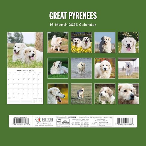 Red Robin 2026 Great Pyrenees Monthly Wall Calendar | 12" x 24" Open | Premium Thick & Sturdy Paper | Hangable 12 Month Calendar | Lined Notes & To Do Area | Vivid Images | Plastic Free in Saudi Arabia
