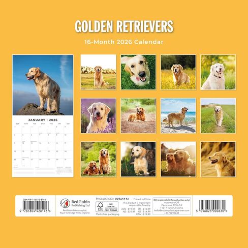 Red Robin 2026 Golden Retrievers Monthly Wall Calendar | 12" x 24" Open | Premium Thick & Sturdy Paper | Hangable 12 Month Calendar | Lined Notes & To Do Area | Vivid Images | Plastic Free in Saudi Arabia