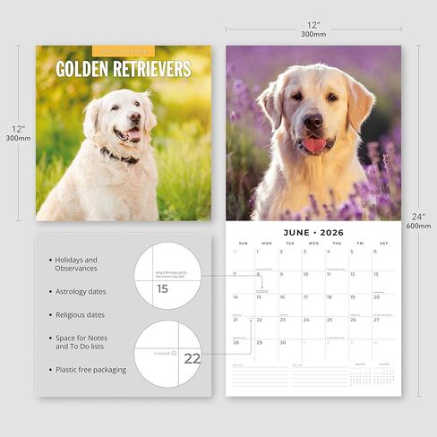 Red Robin 2026 Golden Retrievers Monthly Wall Calendar | 12" x 24" Open | Premium Thick & Sturdy Paper | Hangable 12 Month Calendar | Lined Notes & To Do Area | Vivid Images | Plastic Free in Saudi Arabia