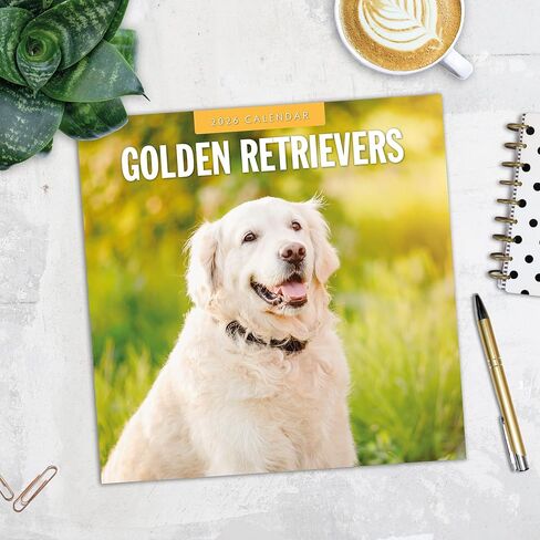 Red Robin 2026 Golden Retrievers Monthly Wall Calendar | 12" x 24" Open | Premium Thick & Sturdy Paper | Hangable 12 Month Calendar | Lined Notes & To Do Area | Vivid Images | Plastic Free in Saudi Arabia