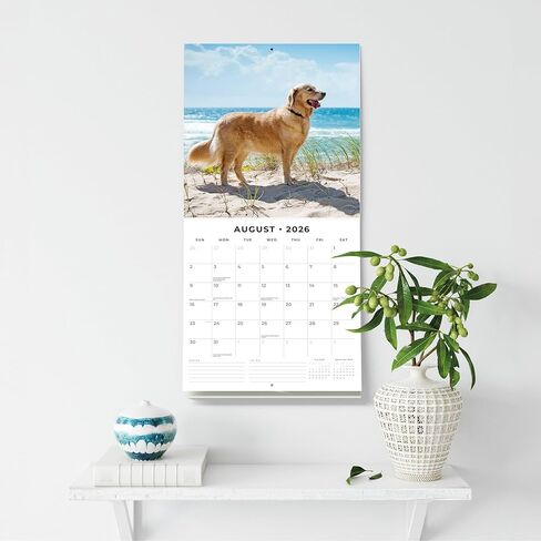 Red Robin 2026 Golden Retrievers Monthly Wall Calendar | 12" x 24" Open | Premium Thick & Sturdy Paper | Hangable 12 Month Calendar | Lined Notes & To Do Area | Vivid Images | Plastic Free in Saudi Arabia