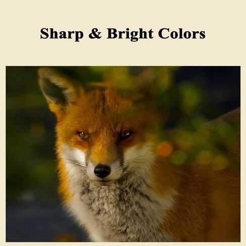 استبدال خرطوشة الحبر الأسود B221H00 لخرطوشة الحبر Lexmark B2236 B221000 المتوافقة مع الطابعة B2236dw MB2236i MB2236adwe MB2236adw in Kuwait