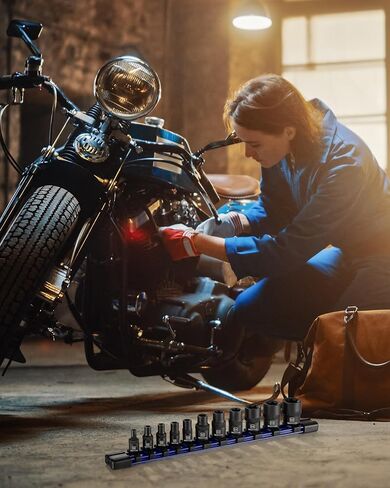 مجموعة مقابس توركس 11 قطعة من WORKPRO، مجموعة مقابس نجمة محرك 1/4 بوصة 3/8 بوصة، مجموعة مقابس توركس خارجية من الفولاذ CR-V (مقبس E4-E20) مع منظم مقبس PVC، مثالية للدراجات النارية والسيارات والإصلاح الميكانيكي in Kuwait