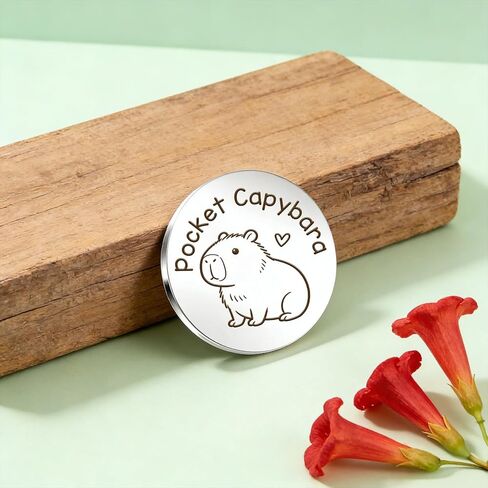 Capybara Themed Gifts Capybara Keychain Cute Animal Pocket Hug Token Emotional Support Gift Small Easter Christmas Gifts for Capybaras Lovers Boyfriend Girlfriend Son Daughter Best Friend Women Men in Saudi Arabia