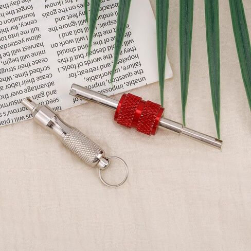 2pcs Valve Core Removal Tool Keychains, Dual & Single Head Tire Stem Core Installation Remover Portable Valve Removal Tool Repair Accessories for Car Motorcycle Bicycle in Saudi Arabia