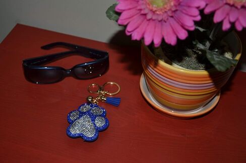 Popfizzy Bling Key Fob Keychain for Women Backpack Charm or Purse Accessory Key Ring Cool Key Chain Keyfob Keyholder Series 2 (Pawprint Blue) in Saudi Arabia