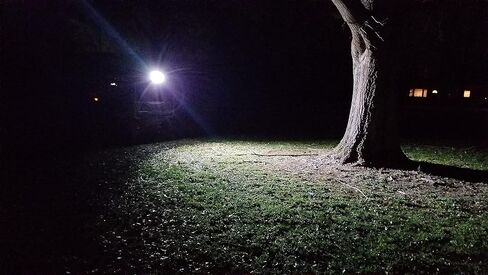 High Mount Auto Backup Light for Honda Pioneer 1000/700 UTV's. Plug-N-Play for simple install. in Kuwait