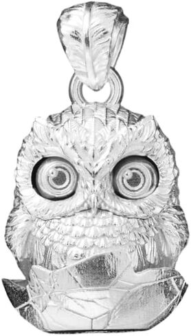 COPPERTIST.WU Owl Fidget Pendant for Necklace Owl Winking Pendant Jewelry Charm for Men Women in Saudi Arabia