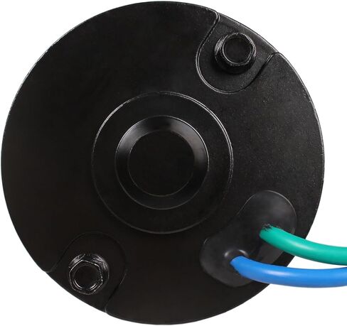 Outboard Engine 6E5-43880-00 6E5-43880-01 02 6H1-43880-00 688-43880-11 10 430-22082 TRM0053 Index-LX570-25922 PT612NM Tilt Trim Motor for Yamaha 115HP 150HP 175HP 200HP 225HP, fit Sierra 18-6259 6267 in Saudi Arabia