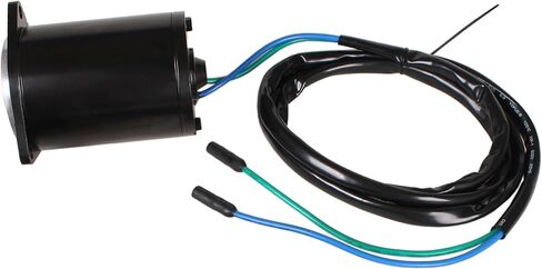 Outboard Engine 6E5-43880-00 6E5-43880-01 02 6H1-43880-00 688-43880-11 10 430-22082 TRM0053 Index-LX570-25922 PT612NM Tilt Trim Motor for Yamaha 115HP 150HP 175HP 200HP 225HP, fit Sierra 18-6259 6267 in Saudi Arabia