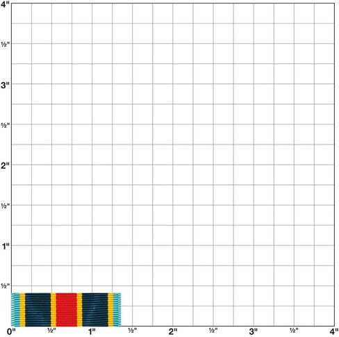MEDALS OF AMERICA EST. 1976 Navy And Marine Corps Overseas Service Ribbon in Saudi Arabia