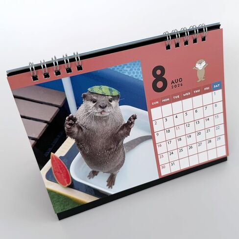 Official OTTER KOTARO&HANA 2026 CALENDAR SET in Kuwait