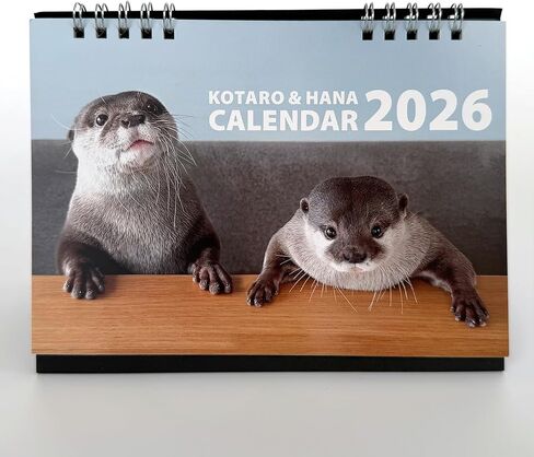 Official OTTER KOTARO&HANA 2026 CALENDAR SET in Kuwait