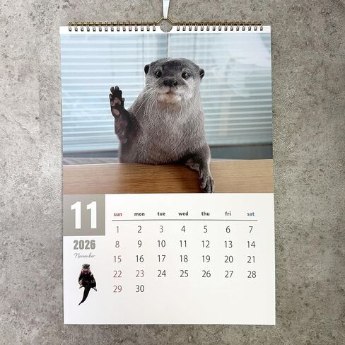 Official OTTER KOTARO&HANA 2026 CALENDAR SET in Kuwait