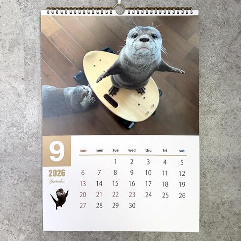 Official OTTER KOTARO&HANA 2026 CALENDAR SET in Kuwait