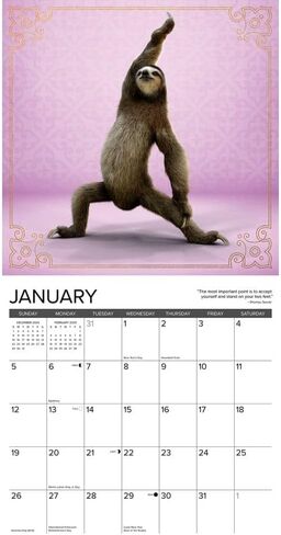 Sloth Yoga 2025 12" x 12" Wall Calendar in Saudi Arabia