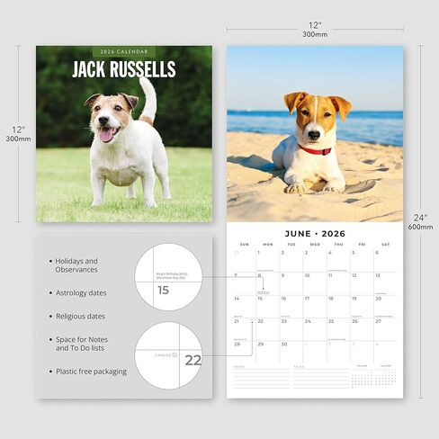 Red Robin 2026 Jack Russells Monthly Wall Calendar | 12" x 24" Open | Premium Thick & Sturdy Paper | Hangable 12 Month Calendar | Lined Notes & To Do Area | Vivid Images | Plastic Free in Saudi Arabia
