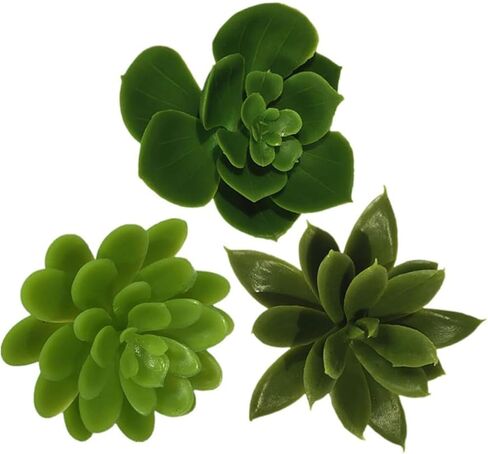 3 قطع من النباتات العصارية الصناعية غير المستقرة نباتات وهمية صغيرة واقعية لديكور المنزل والمكتب وغرفة النوم والحمام ورف المكتب in Kuwait