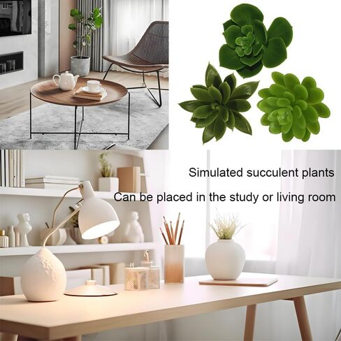3 قطع من النباتات العصارية الصناعية غير المستقرة نباتات وهمية صغيرة واقعية لديكور المنزل والمكتب وغرفة النوم والحمام ورف المكتب in Kuwait