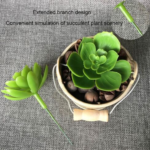 3 قطع من النباتات العصارية الصناعية غير المستقرة نباتات وهمية صغيرة واقعية لديكور المنزل والمكتب وغرفة النوم والحمام ورف المكتب in Kuwait
