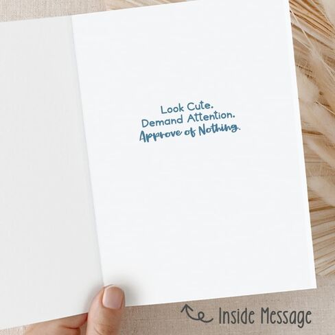 m&h invites Funny Cat Card – Cute & Sarcastic Friendship, Encouragement, or Thinking of You Greeting Card in Saudi Arabia