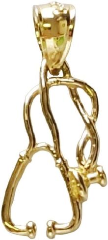 14k Yellow Gold Medical Stethoscope 3D (3 Dimensional) Pendant, Made in USA in Kuwait