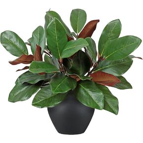 TOCHGREEN 6 Pcs Artificial Magnolia Leaves Branches 18inch Faux 3D Real Touch Magnolia Pick Stems Fake Greenery Simulation Leaves Twigs for Indoor Outdoor Vase Home Wedding Table Decoration in Kuwait