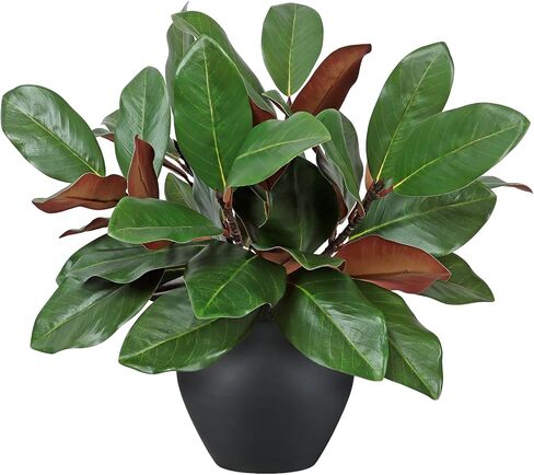 TOCHGREEN 6 Pcs Artificial Magnolia Leaves Branches 18inch Faux 3D Real Touch Magnolia Pick Stems Fake Greenery Simulation Leaves Twigs for Indoor Outdoor Vase Home Wedding Table Decoration in Kuwait