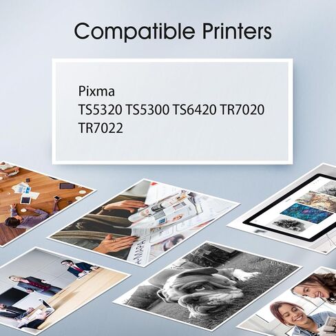 260XL Black Ink Cartridge 1 Pack Relacement for Canon PG-260 PG-260XL 260 XL Ink Cartridge Work for Pixma TS5320 TS5300 TS6420 TR7020 TR7022 Printer (1 Black) in Kuwait