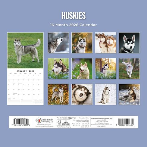 Red Robin 2026 Huskies Monthly Wall Calendar | 12" x 24" Open | Premium Thick & Sturdy Paper | Hangable 12 Month Calendar | Lined Notes & To Do Area | Vivid Images | Plastic Free in Saudi Arabia