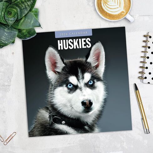 Red Robin 2026 Huskies Monthly Wall Calendar | 12" x 24" Open | Premium Thick & Sturdy Paper | Hangable 12 Month Calendar | Lined Notes & To Do Area | Vivid Images | Plastic Free in Saudi Arabia