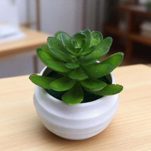 1Pcs Artificial Aloe Succulents Plants Pots Green Fake Plants Home Garden Office Table Potted Decoration,7x7x4.5cm (Pink) in Saudi Arabia