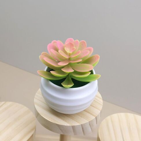 1Pcs Artificial Aloe Succulents Plants Pots Green Fake Plants Home Garden Office Table Potted Decoration,7x7x4.5cm (Pink) in Saudi Arabia
