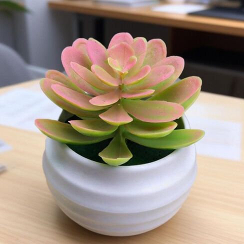 1Pcs Artificial Aloe Succulents Plants Pots Green Fake Plants Home Garden Office Table Potted Decoration,7x7x4.5cm (Pink) in Saudi Arabia