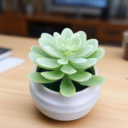 1Pcs Artificial Aloe Succulents Plants Pots Green Fake Plants Home Garden Office Table Potted Decoration,7x7x4.5cm (Pink) in Saudi Arabia