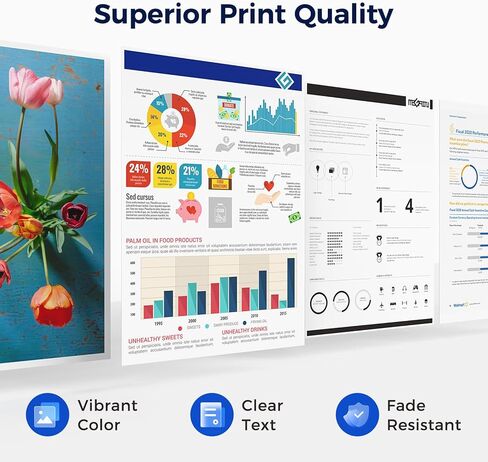 خرطوشة حبر MEGAIN 245XL 246XL بديلة لـ Canon 245 246 XL PG245 CL246 لخراطيش حبر Canon PIXMA MG2525 MG3022 MX490 TS202 TS3322 TR4520 TS302 TR4527 (أسود واحد) in Kuwait